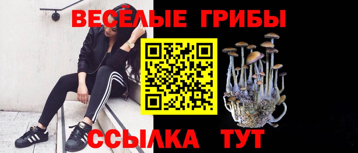 Псилоцибиновые грибы ЛСД Семёнов