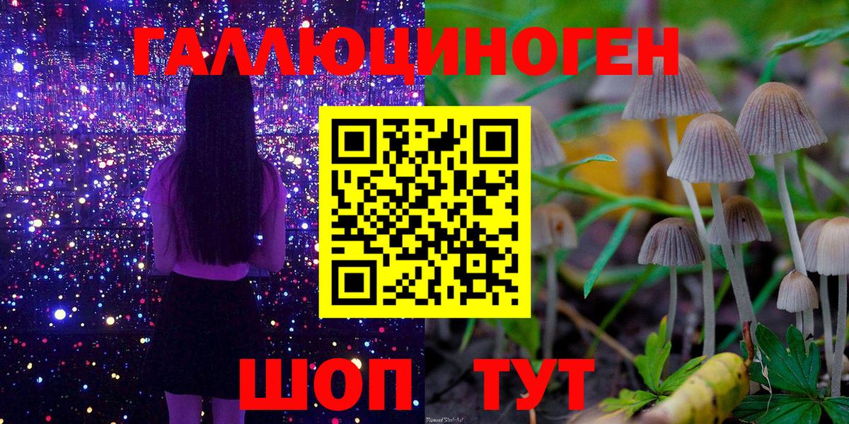 Псилоцибиновые грибы Cubensis  Вход с VPN  Псилоцибиновые грибы мухоморы  Семёнов 